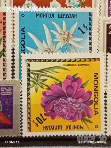 Стари пощенски марки от цял свят без печат ЦВЕТЯ за КОЛЕКЦИЯ 51988, снимка 9 - Филателия - 53217865