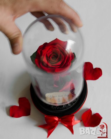 Романтичен Подарък за Жена / ЕСТЕСТВЕНА Вечна Роза в Стъкленица / Подарък за Годишнина от Сватбата, снимка 2 - Романтични подаръци - 34470495