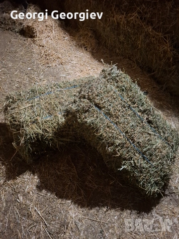 Люцерна малки бали реколта 2025