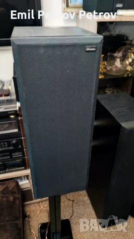 Промо ⭐ ⭐ ⭐ Dynaudio Recital висок клас Датски тонколони , снимка 6 - Тонколони - 51007596