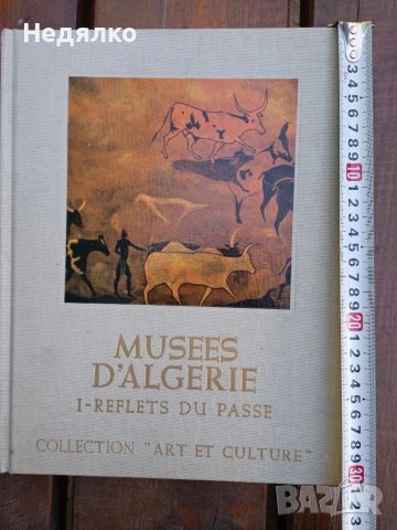 Музеите на Алжир,1974 г, албум , снимка 2 - Антикварни и старинни предмети - 39988466