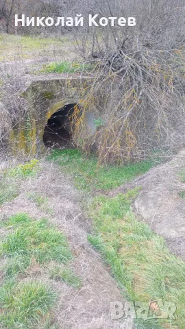 Урегулиран ПИ 15 дка., гр. Видин, до магистрала, снимка 7 - Парцели - 49707543