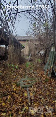 Дворно място, Димитровград, снимка 3 - Парцели - 52567666