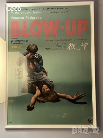 Ретро Vintage Постер с размер 50/70 на филма Blow Up на Микеланджело Антониони от 1966г. Рамка Ikea, снимка 6 - Други - 39434515