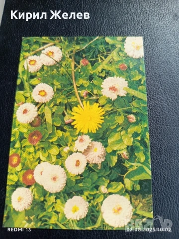 Старо календарче серия ЦВЕТЯ много красиво за КОЛЕКЦИЯ ДЕКОРАЦИЯ 35357