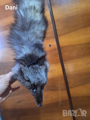 Антикварни вещи за ценители, снимка 11 - Антикварни и старинни предмети - 49411117