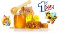 Предлагам натурален полифлорен пчелен мед прополис и восък произведени в екологично чист район на с.