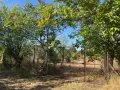 продавам парцел в Каварна,местност "Старите лоза", снимка 3