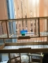 продавам клетка , снимка 5