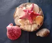 Кошница с екзотични раковини +още 2 броя. , снимка 1