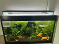 Аквариум с осветление и канистър, снимка 1