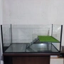 Изработка на аквариуми и терариуми, снимка 4