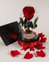 Подарък за Рожден Ден / ЕСТЕСТВЕНА Вечна Роза в Стъкленица / Оригинален Подарък за Жена / Вечна Роза
