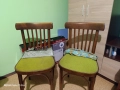 4 бр виенски столове , снимка 2