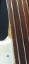 Фретлес бас китара, снимка 10
