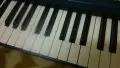 KORG PA800 клавир синтезатор , снимка 2