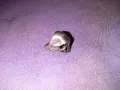 Сребърен пръстен 14грама 925 пр.Тип Харлей Дейвидсон черепи German Helmet skull ring, снимка 2