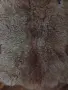 Кожа от Лисица и Овчи кожи, снимка 16