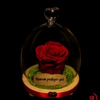Подарък за рожден ден / Естествена Вечна Роза в Стъкленица / Уникален Подарък за Жена, снимка 8 - Други - 28122874
