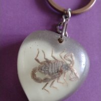 Интересен колекционерски ключодържател АВГАНИСТАН хербарий скорпион уникат за колекция  - 2976, снимка 5 - Други - 30997270