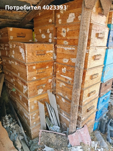 кошери - разпродажба с. Круша, общ. Аврен, снимка 1