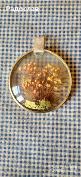 старо  пано Хербарий , снимка 1