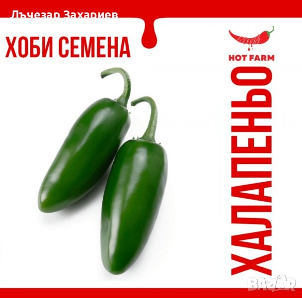 Семена Халапеньо за са най-популярната чушка в света. Много месеста и подходяща за пълнене. Приятно , снимка 1