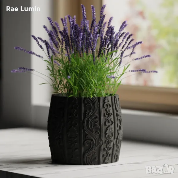 Саксия – барок 2, снимка 1