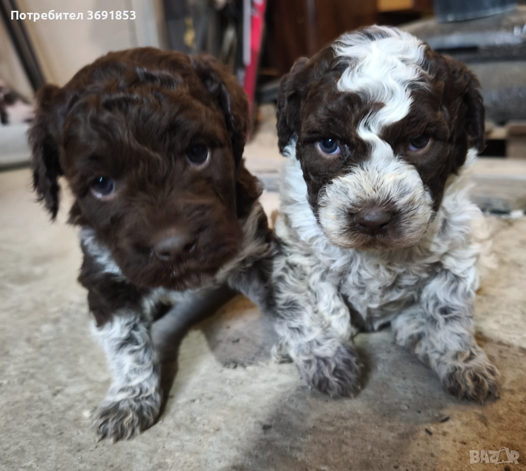 Лагото Романьоло, снимка 1