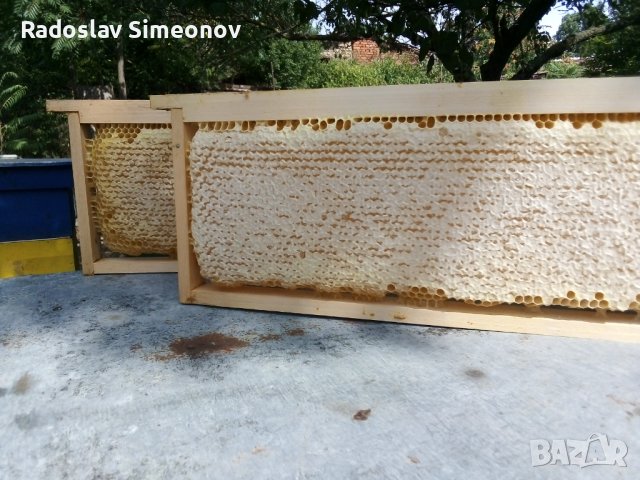 пити с мед, снимка 3 - Пчелни продукти - 25724860