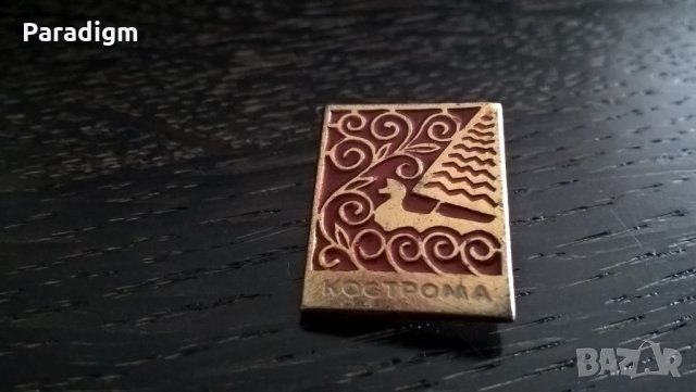 Значка - Русия (СССР) - Кострома, снимка 2 - Други ценни предмети - 29340020