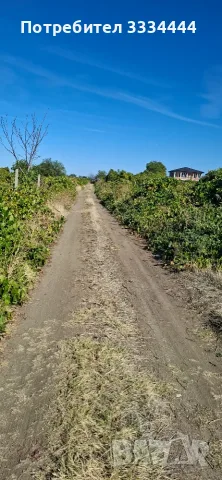 Продавам имот местност "Комсала" с. Марково, гр. Пловдив, снимка 4 - Земеделска земя - 56341391
