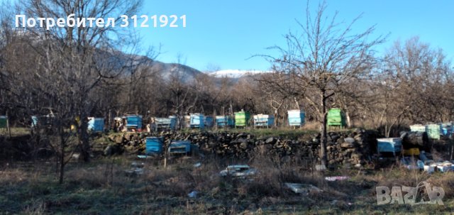 Земеделска земя за продажба в района на с.Беласица , снимка 4 - Земеделска земя - 39577960