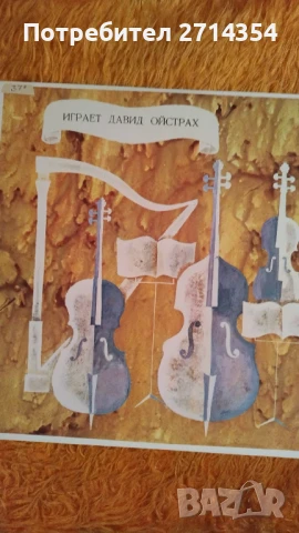 Плочи класическа музика , снимка 8 - Грамофонни плочи - 50475168