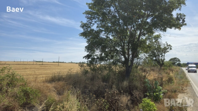 Продавам парцел за промишлено строителство в с. Тополи, м-ст Таш Тарла, снимка 2 - Парцели - 52168170