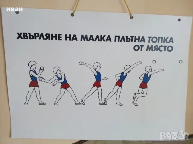 Стари учебни табла 4бр. 70см. х 50см, снимка 3 - Други ценни предмети - 49519316
