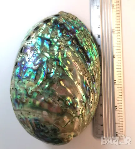 Mother of Pearl, Седеф, снимка 7 - Декорация за дома - 48496774