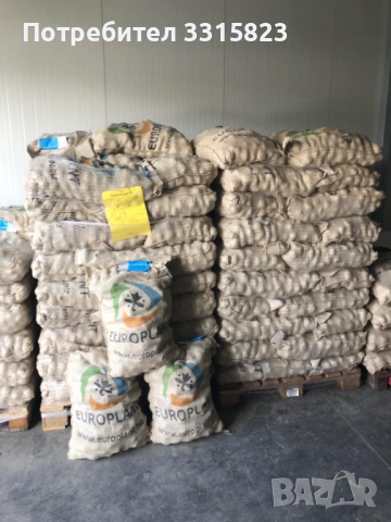 Семена картофи за посев клас А- произход Европлант , Германия , снимка 3 - Сортови семена и луковици - 53943854