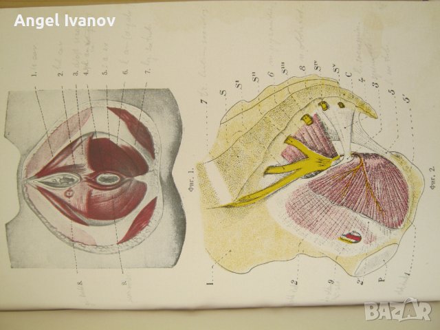 Основи на акушерството, снимка 9 - Специализирана литература - 44421763