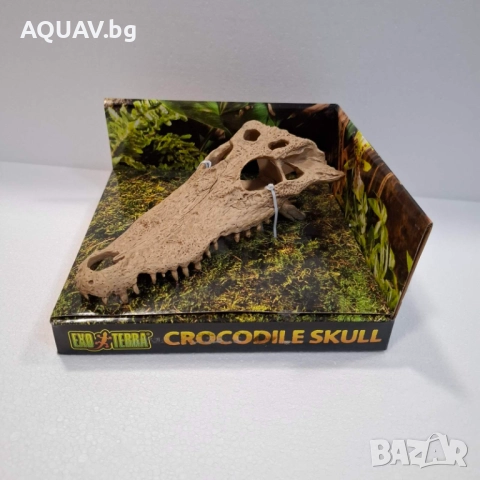 Декорация за терариум - череп на крокодил, снимка 2 - Терариуми и оборудване - 51494645