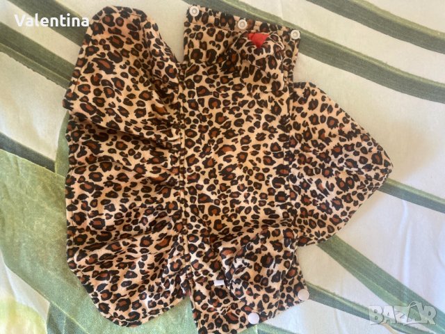 Палтенце с две лица, снимка 3 - Йоркширски териер - 38021201