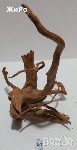 Корен от Азалия /декорация/ 60, снимка 4 - Други - 54102330