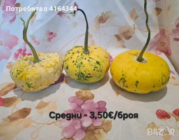 Естествени декоративни тикви, снимка 7 - Декорация за дома - 55722322