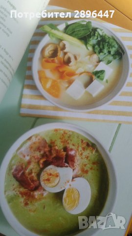 Книгата на шев Манчев и Шишков, снимка 4 - Колекции - 35569842