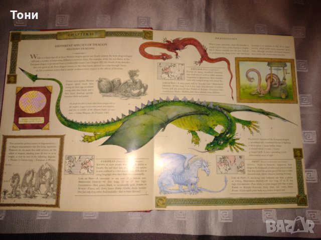 Драконология/ Книга за драконите Автор: д-р Ърнест Дрейк, снимка 6 - Детски книжки - 35214379