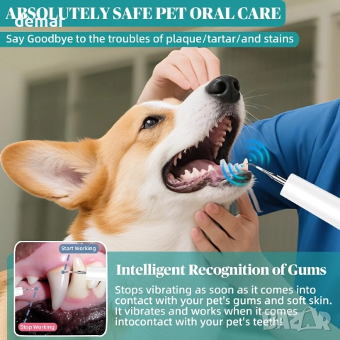 Hauser Комплект за почистване на зъби от зъбен камък и петна, 2 в 1, снимка 3 - За кучета - 51905521