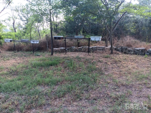 Оплодни кошери за майки нуклеуси , снимка 5 - За пчели - 51450534