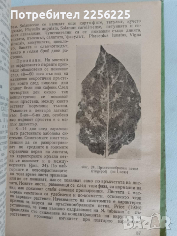 "Болести по тютюна", снимка 3 - Специализирана литература - 44679921