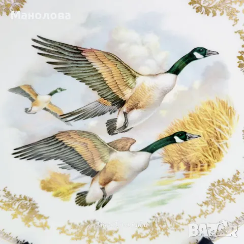 Елегантна декоративна чиния от Gainsborough Bone China, Англия. , снимка 5 - Колекции - 50090203