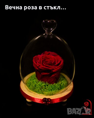 Подарък за Рожден Ден на Мама / Естествена Вечна Роза в Стъкленица / Уникален Подарък за Жена, снимка 6 - Други - 28122874